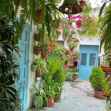 Apartamento la muralla Vejer de la Frontera Bagian luar foto